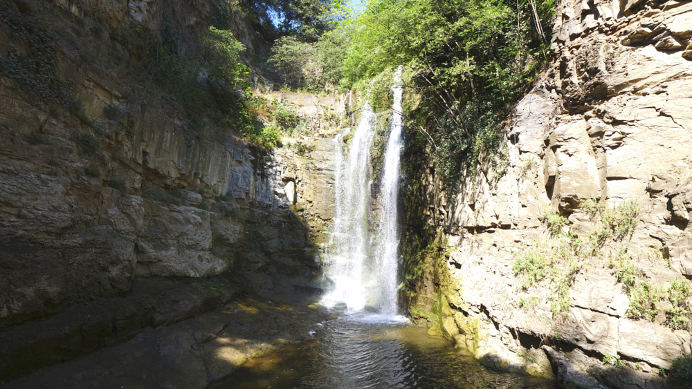 Botanical Garden